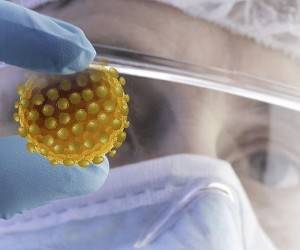 Ученые нашли новое средство для лечения коронавируса
