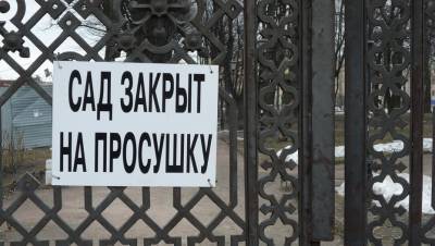 Сады и парки Петербурга закроют на просушку 24 марта