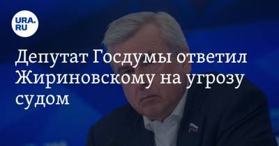 Депутат Госдумы ответил Жириновскому на угрозу судом. Конфликт разгорелся из-за «торговли мандатами»