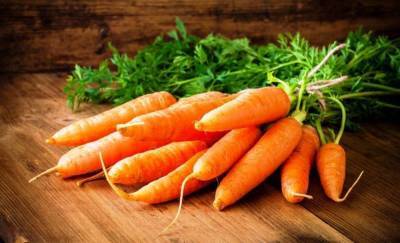 Сорт моркови Ромоса: описание, фото и отзывы