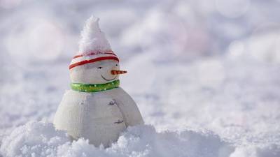 Названы лучшие фигуры из снега, созданные петербуржцами