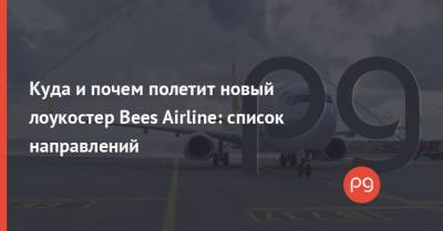 Куда и почем полетит новый лоукостер Bees Airline: список направлений