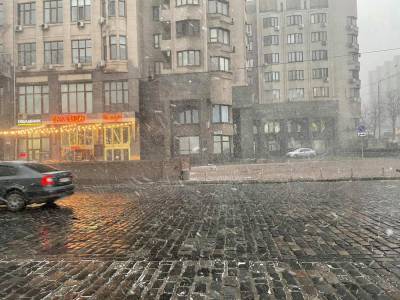 23 день весны: Киев накрыла метель – фото, видео