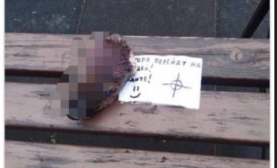 Тюменец, который отрезал голову щенку, извинился в соцсетях