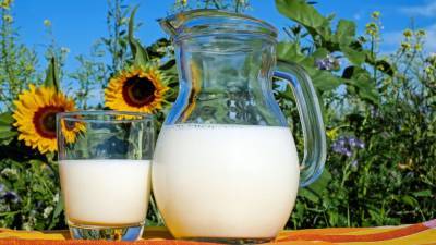 Названы причины возможного роста цен на молочную продукцию в России