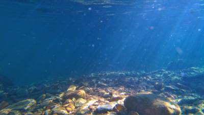 Глубоко под океаном открыт неизвестный вид базальта