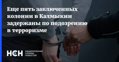 Еще пять заключенных колонии в Калмыкии задержаны по подозрению в терроризме