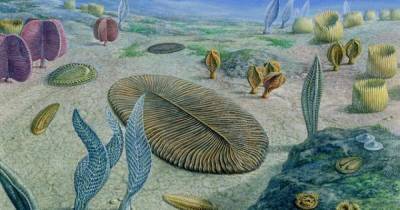 Ученые выяснили, что мы имеем гены морских чудовищ возрастом 500 млн лет