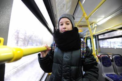 Ввести бесплатные проездные для детей предложили в России