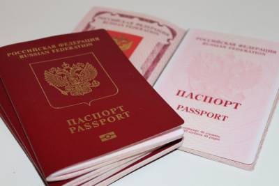 Германия: Менять ли фамилию в российском паспорте, если она изменена в немецком