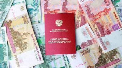 В России предложили индексировать пенсии новой категории граждан