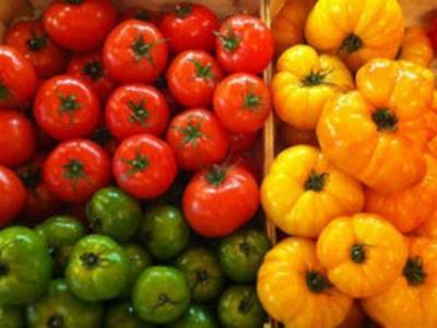 Россельхознадзор разрешил поставки томатов еще нескольким предприятиям Азербайджана