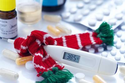 В Ленобласти резко выросло число госпитализированных с гриппом и ОРВИ