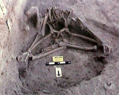 2700-летний скелет йога в позе самадхи найден в долине Инда