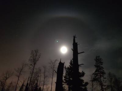 Ночное небо над Ленобластью украсило лунное гало — фото