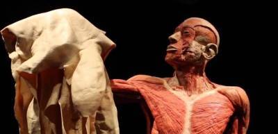 Бастрыкин поручил проверить всемирно известную анатомическую выставку на ВДНХ