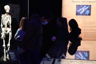 СК проведет проверку в отношении организаторов выставки из человеческих тел