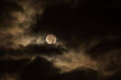Лунное гало наблюдали жители Ленобласти минувшей ночью