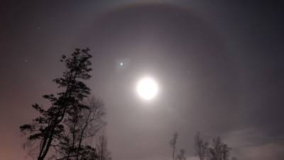 Лунное гало наблюдали в Ленобласти в ночь на 24 марта