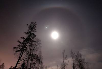 Лунное гало наблюдали минувшей ночью в Ленобласти