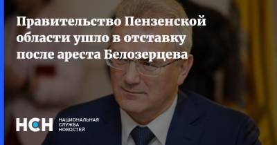 Правительство Пензенской области ушло в отставку после ареста Белозерцева