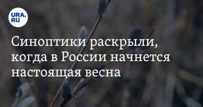 Синоптики раскрыли, когда в России начнется настоящая весна