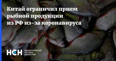 Китай ограничил прием рыбной продукции из РФ из-за коронавируса