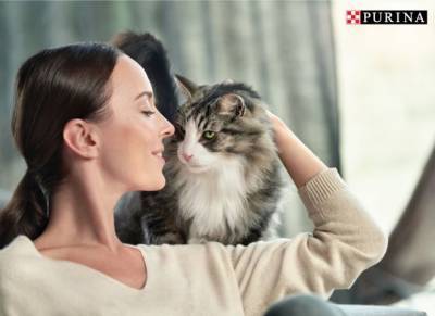Наукове відкриття: вчені Nestlé Purina® розробили інноваційний підхід для зниження рівня алергенів у котів