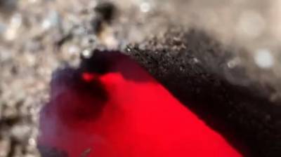 Парень раскопал возле дома яму и нашел "портал в ад" (Видео)