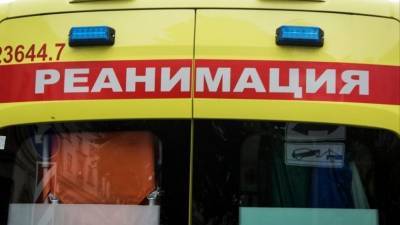 Пятеро детей и взрослый в переполненной «Ладе» влетели в грузовик в Башкирии