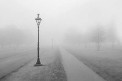 Плотный туман и плохая видимость ожидаются в Удмуртии
