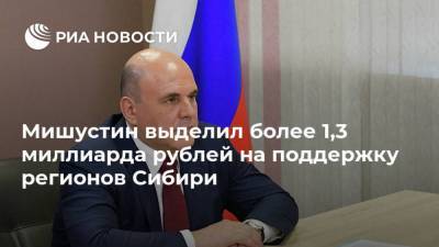 Мишустин выделил более 1,3 миллиарда рублей на поддержку регионов Сибири