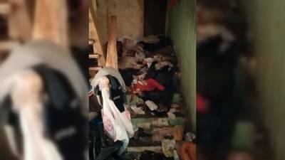 Девочку-маугли нашли в заваленной мусором квартире в Подмосковье