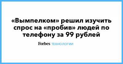 «Вымпелком» решил изучить спрос на «пробив» людей по телефону за 99 рублей