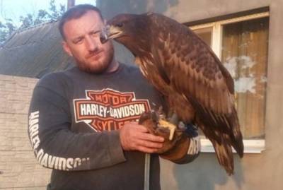 В Запорожской области спасли орлана, который застрял в ветках