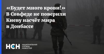 «Будет много крови!» В Совфеде не поверили Киеву насчёт мира в Донбассе