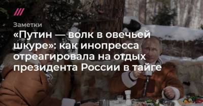 Путин волк в овечьей шкуре: как инопресса отреагировала на отдых президента России в тайге