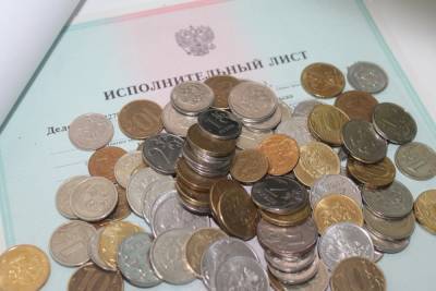 Житель Северодвинска погасил долг почти четырьмя тысячами монет