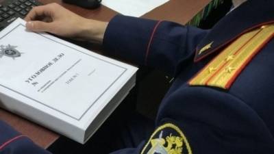 СК возбудил дело против сбившего двух женщин в Москве водителя Mercedes