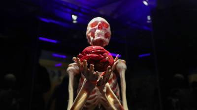 Организаторы: выставка "Мир тела" соответствует законодательству России