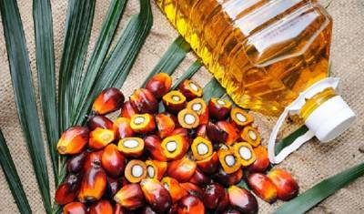 Россия увеличивает импорт пальмового масла