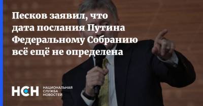 Песков заявил, что дата послания Путина Федеральному Собранию всё ещё не определена