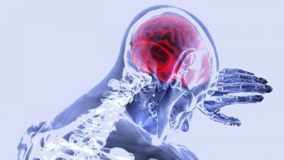 Часть мозга продолжает жить после смерти: учёные обнаружили клетки-зомби