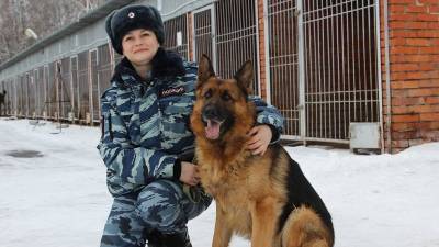 Полицейская собака по кличке Енсон помогла раскрыть убийство в Томске