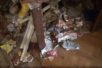 Появилось видео из дома в Подмосковье, где нашли девочку-маугли с 19 кошками