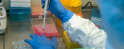 В Оренбургской области обнаружен еще 81 заразившийся коронавирусом