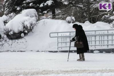 В Коми планируют внедрить систему долговременного ухода за пенсионерами