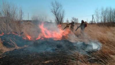 Новости на "России 24". В Амурской области начались природные пожары