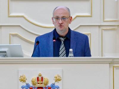 Питерский депутат разделил активную молодежь на "генрихов" и "ланцелотов"