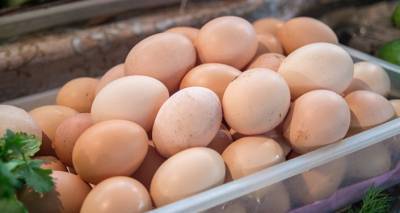 Повод нагреть руки: главный птицевод Армении о том, почему снова дорожают яйца